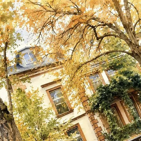 Romy An Der Lahn - Momente * Marburg